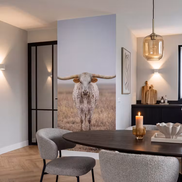Behang - Longhorn - Grasveld - Dier — 5
