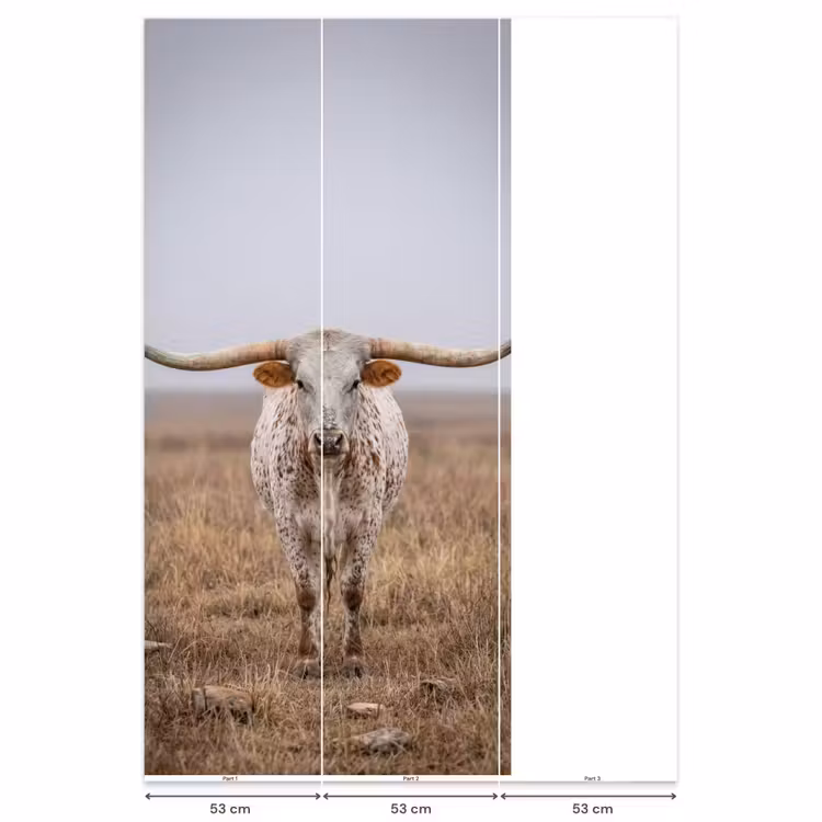 Behang - Longhorn - Grasveld - Dier — 6
