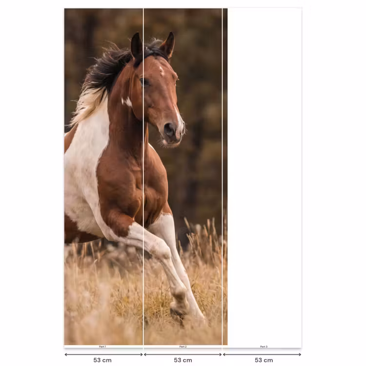 Behang - Paard - Bruin - Gras — 6