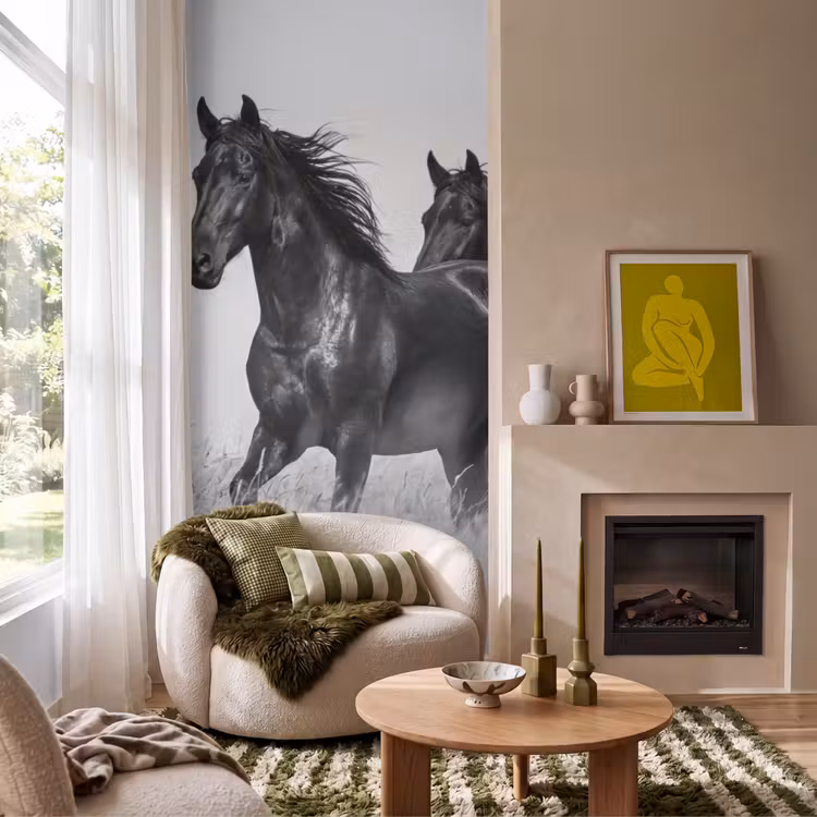 Behang - Paarden - Gras - Zwart - Wit — 1