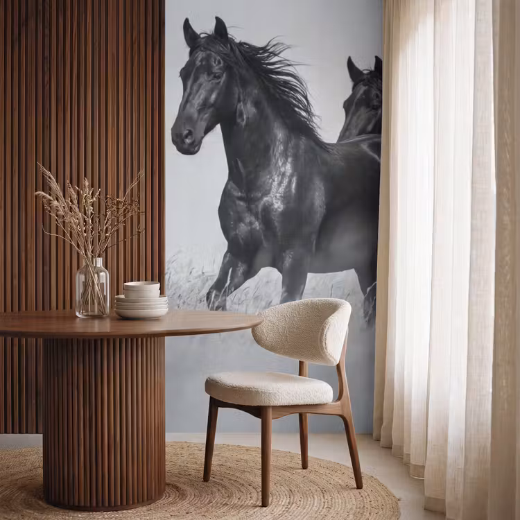 Behang - Paarden - Gras - Zwart - Wit — 4