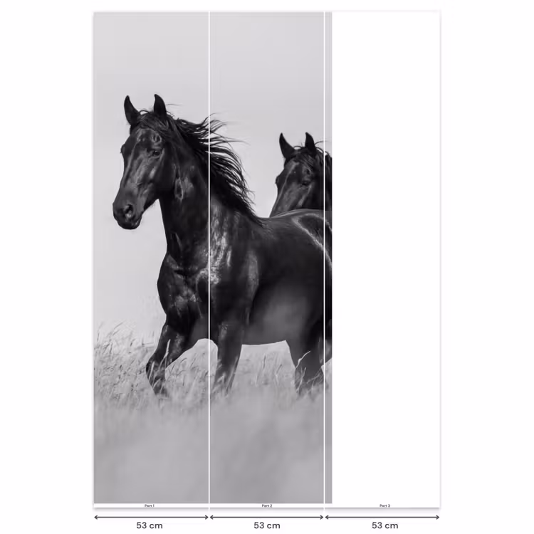 Behang - Paarden - Gras - Zwart - Wit — 6