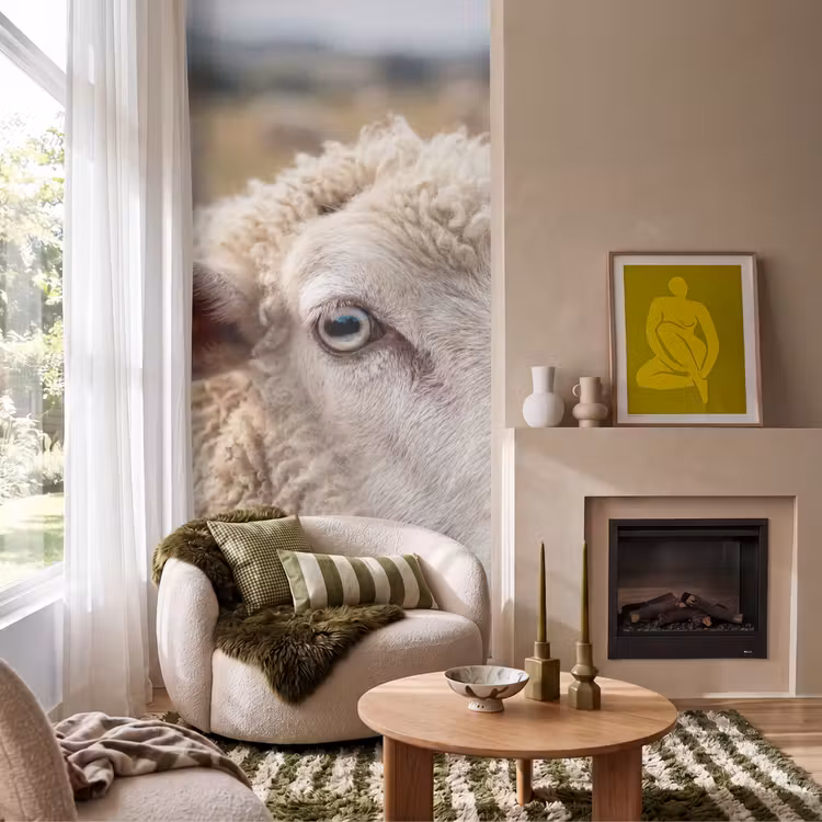 Behang - Schaap - Oog - Wit — 1