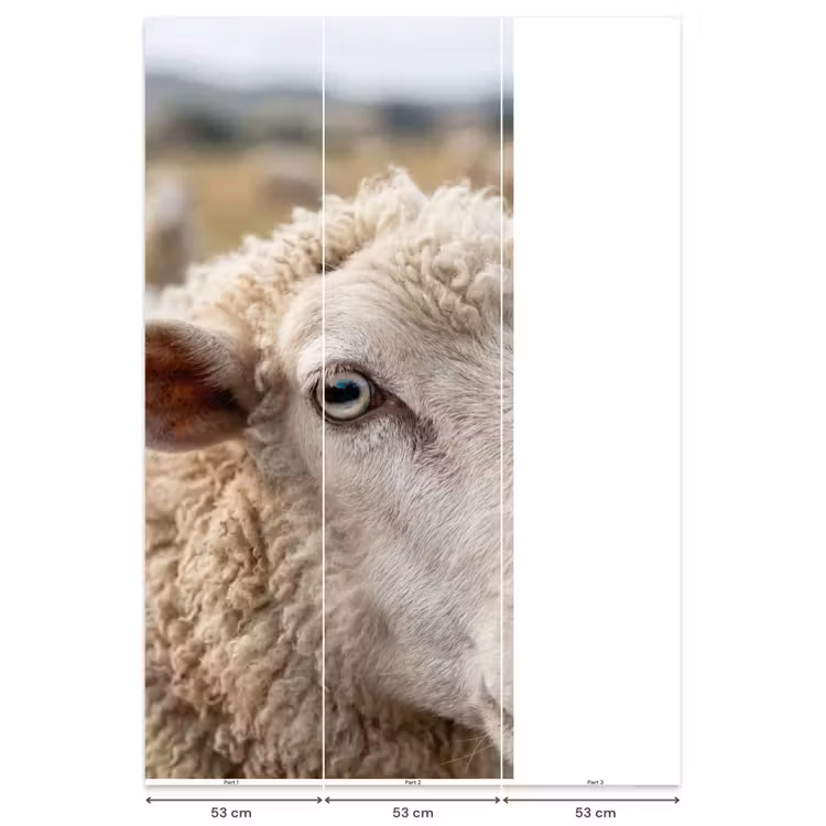Behang - Schaap - Oog - Wit — 6