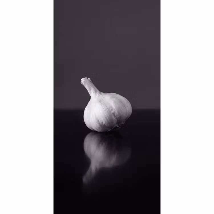 Behang - Knoflook - Zwart - Wit — 2