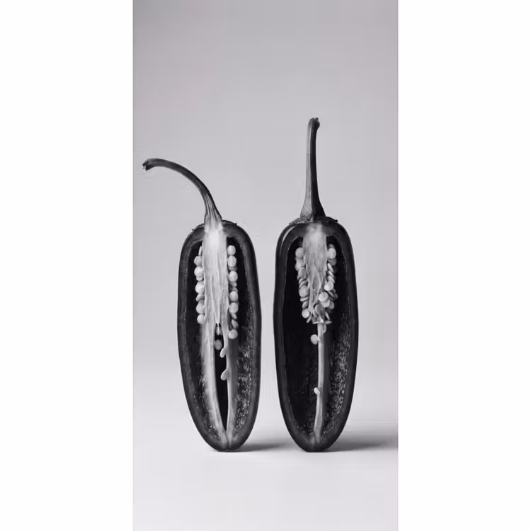 Behang - Pepers - Zwart - Wit - Zaadlijsten — 2