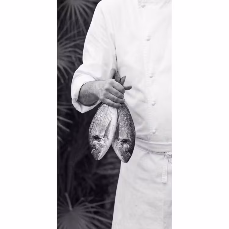 Behang - Vissen - Chef - Zwart - Wit — 2