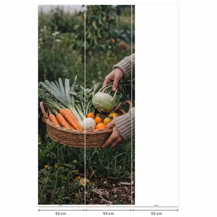 Behang - Veld - Groenten - Biologisch - Oogst — 6