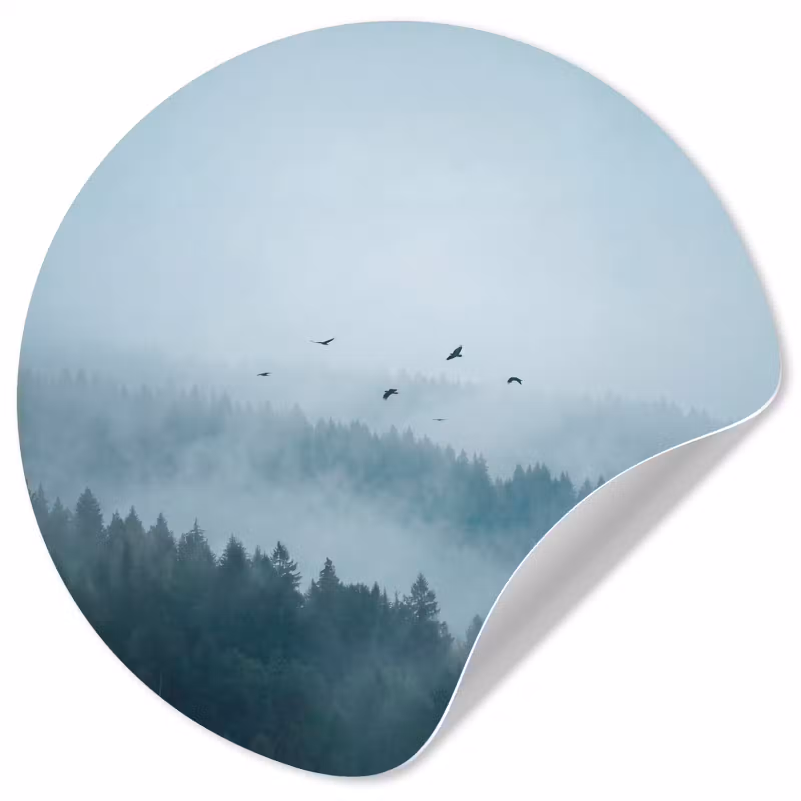 Behangcirkel - Bos - Mist - Vogels - Natuur - Groen — 1