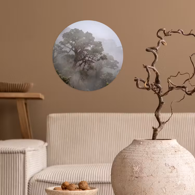 Behangcirkel - Boom - Mistig - Bos - Groen - Natuur — 2