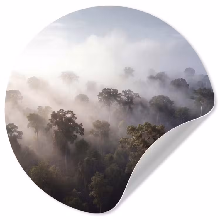 Behangcirkel - Bos - Mist - Natuur - Groen — 1