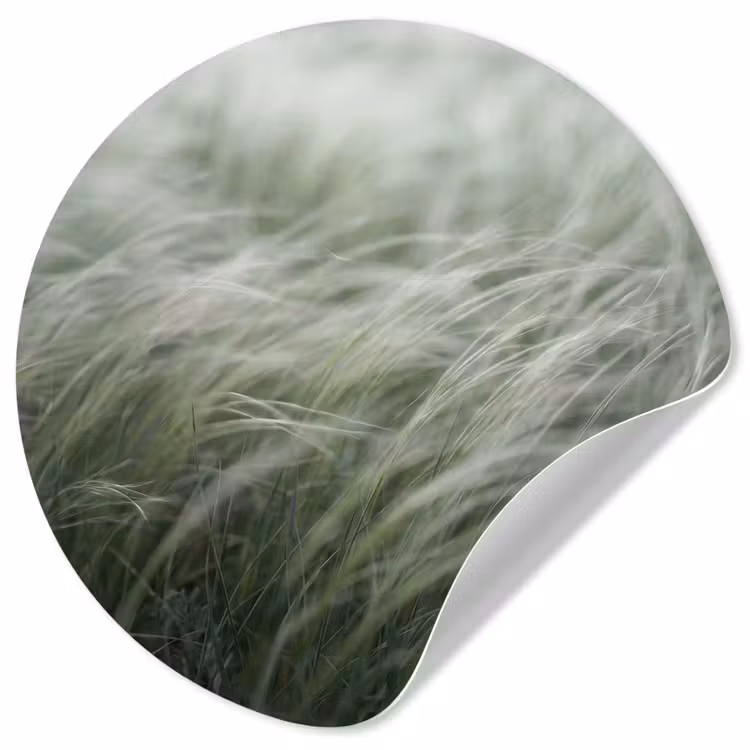 Behangcirkel - Gras - Wazig - Natuur - Groen - Zacht — 1