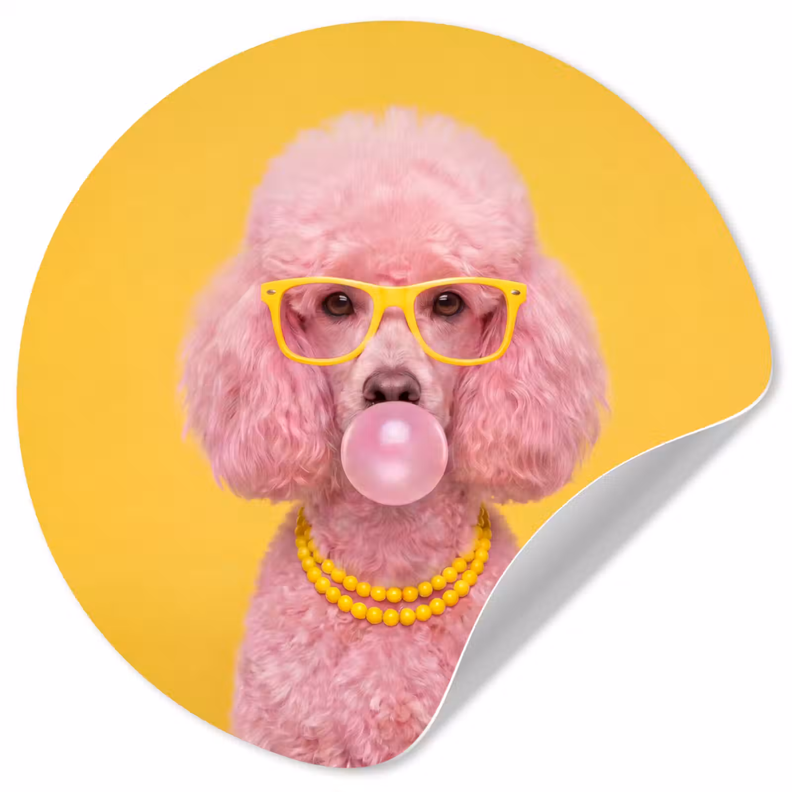 Behangcirkel - Hond - Kauwgum - Dieren - Modern - Roze — 1