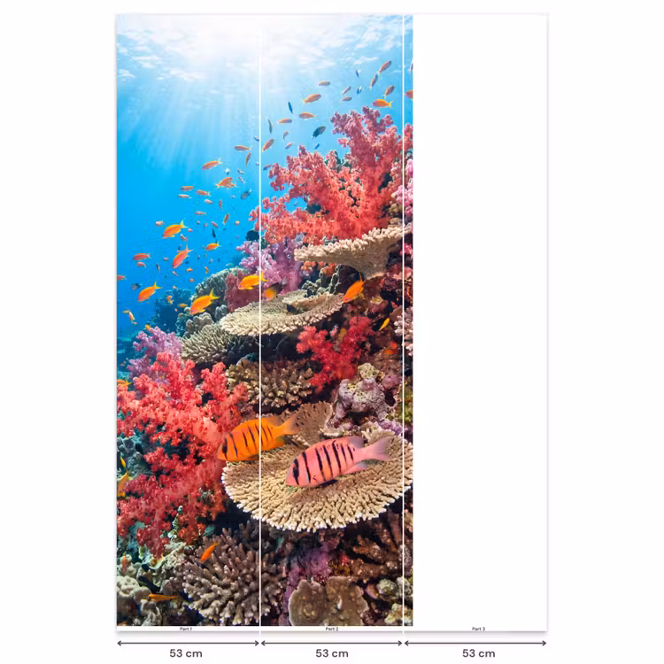 Behang - Koraalrif - Vissen - Onderwater - Tropisch - Rood — 6