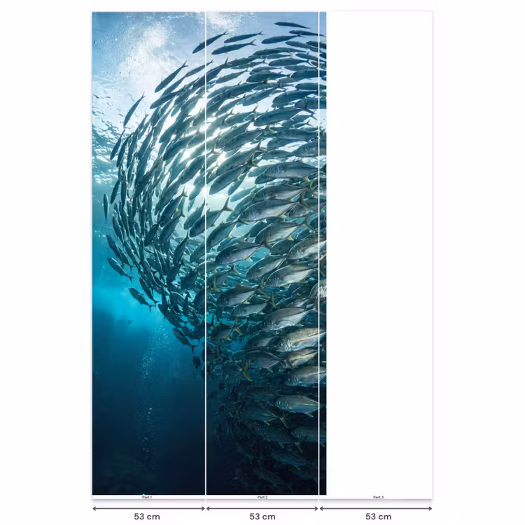 Behang - Vis - School - Oceaan - Natuur - Blauw — 6