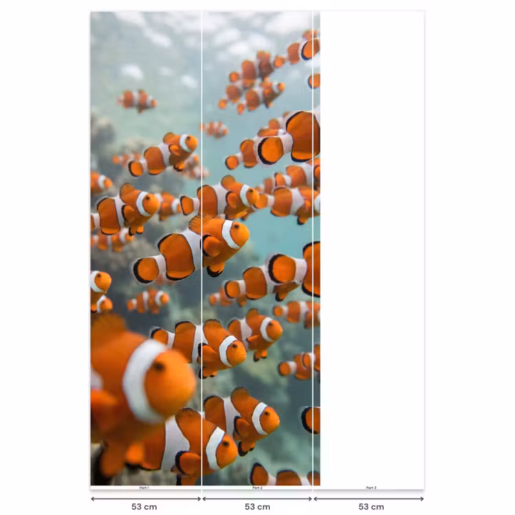 Behang - Vis - School - Onderwater - Dieren - Oranje — 6