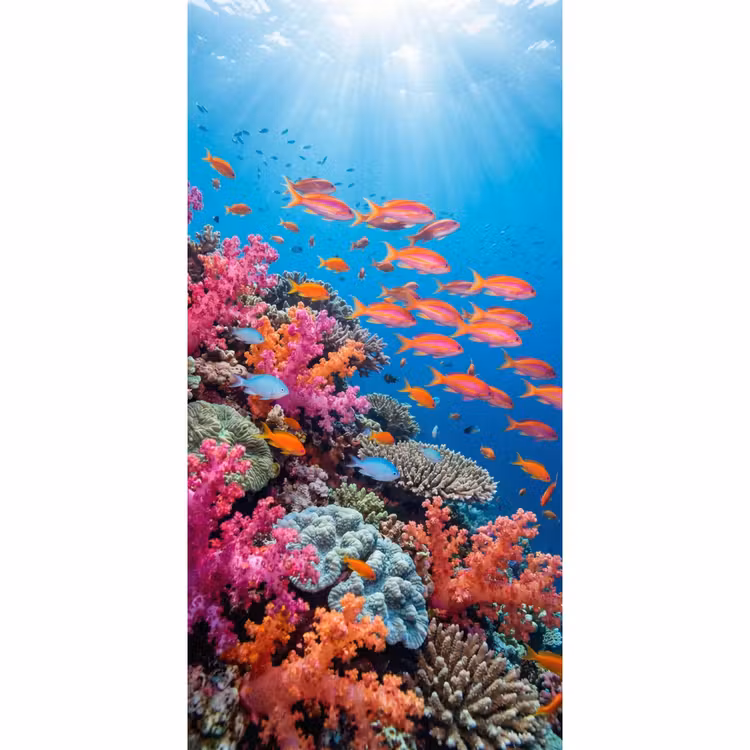 Behang - Onderwater - Koraalrif - Vissen - Oceaan - Natuur — 2