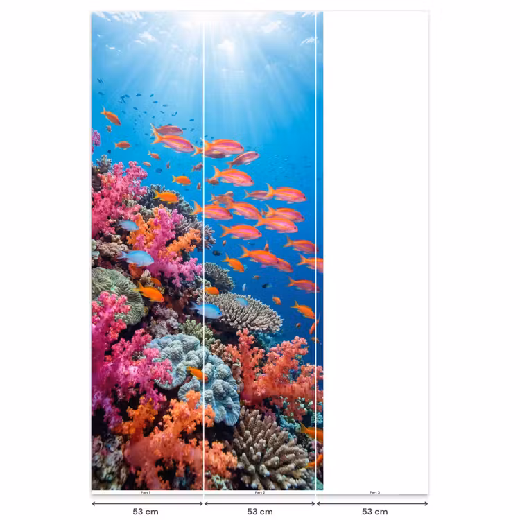 Behang - Onderwater - Koraalrif - Vissen - Oceaan - Natuur — 6