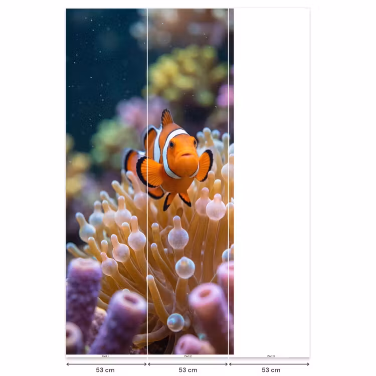 Behang - Vis - Koraal - Onderwater - Oranje - Dieren — 6