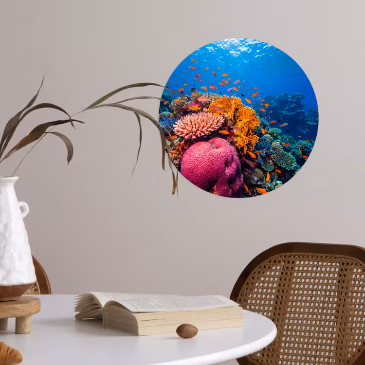 Behangcirkel - Koraal - Vissen - Oceaan - Natuur - Kleurrijk — 4