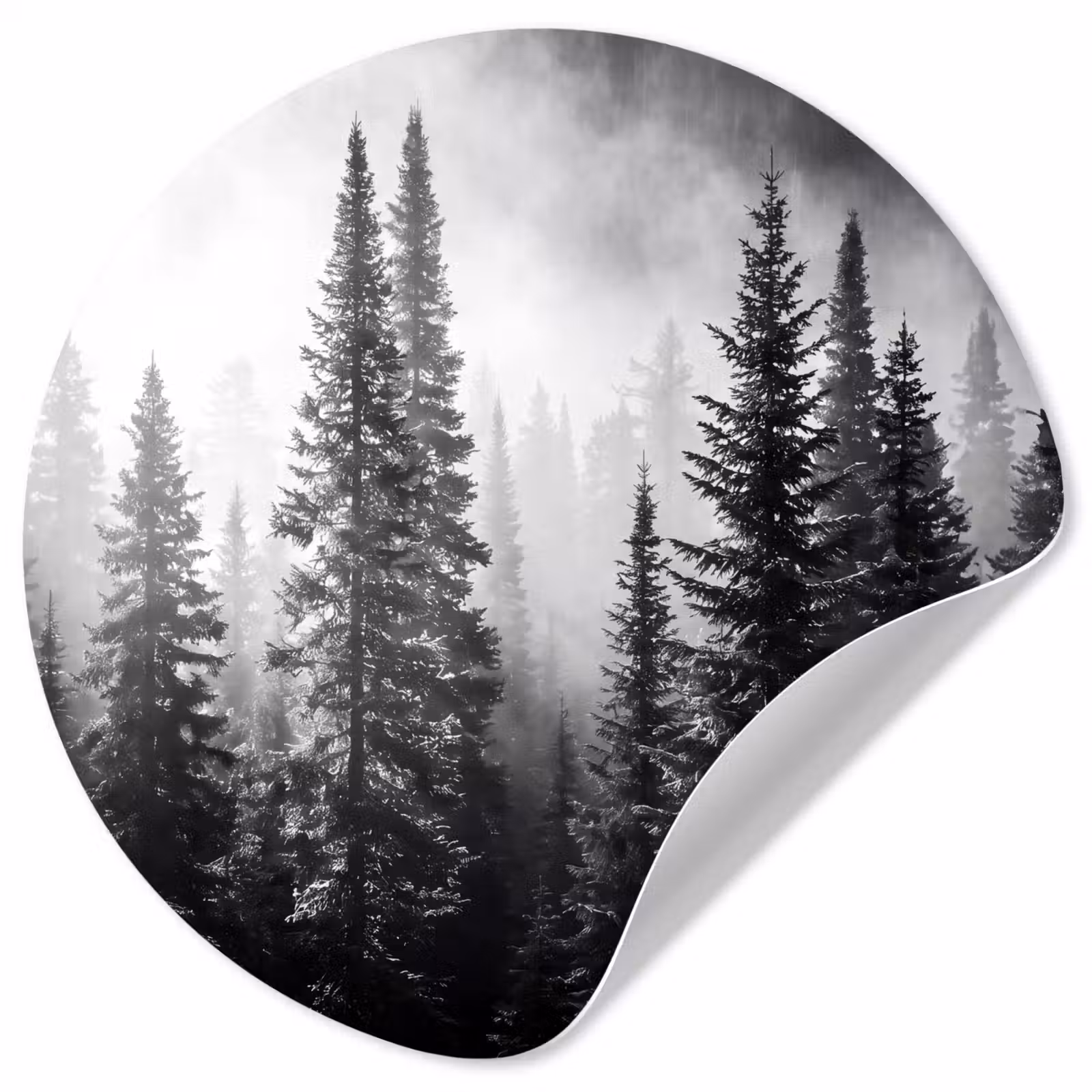 Behangcirkel - Bos - Mist - Winter - Monochroom - Natuur — 1