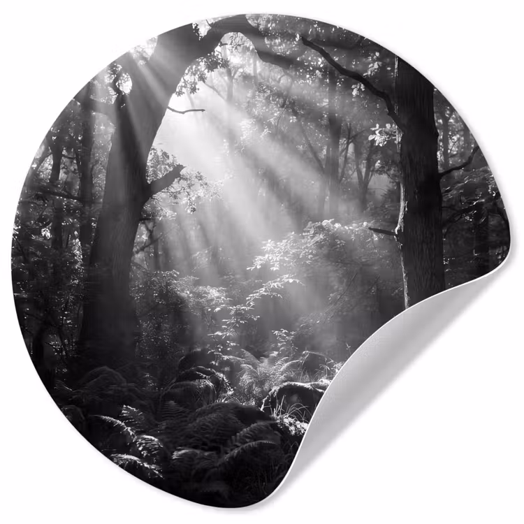 Behangcirkel - Bos - Lichtstralen - Natuur - Zwart-wit — 1