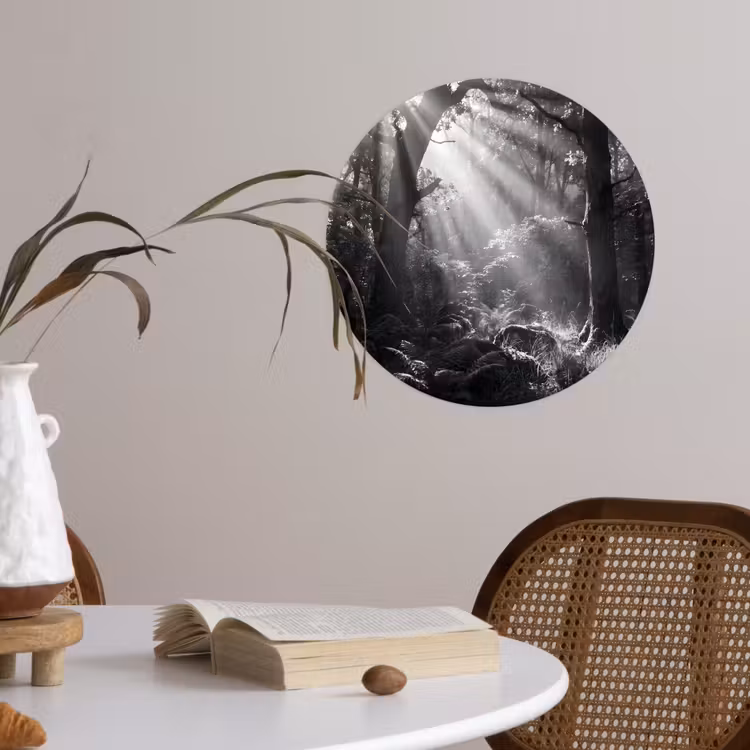 Behangcirkel - Bos - Lichtstralen - Natuur - Zwart-wit — 4