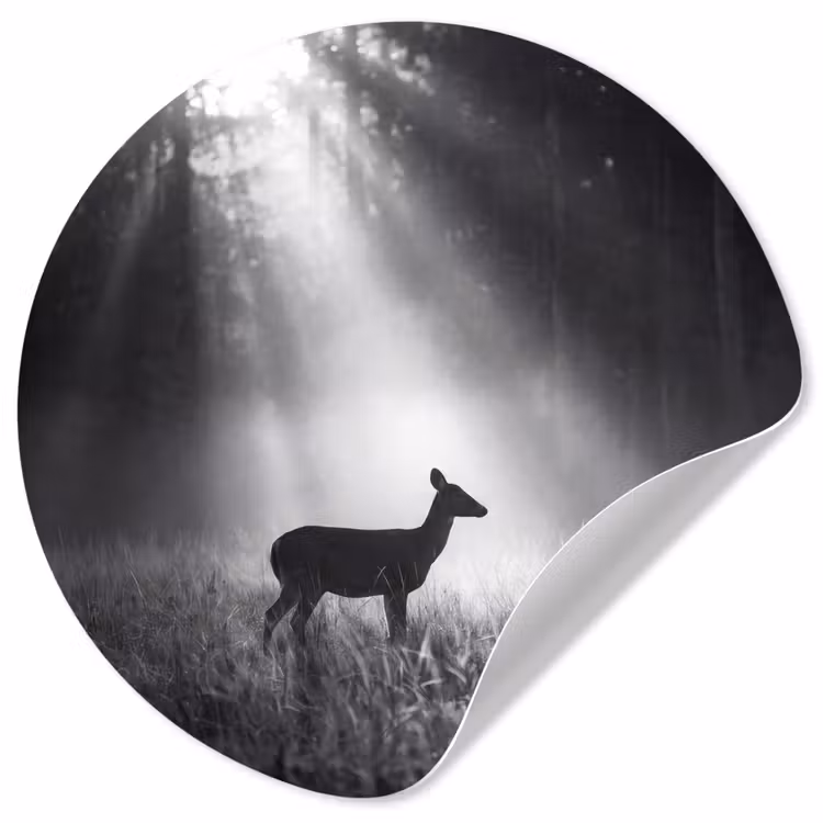 Behangcirkel - Hert - Bos - Zonnestralen - Zwart-wit - Natuur — 1