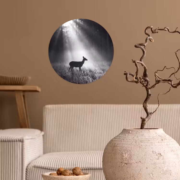 Behangcirkel - Hert - Bos - Zonnestralen - Zwart-wit - Natuur — 2
