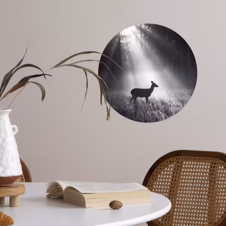 Behangcirkel - Hert - Bos - Zonnestralen - Zwart-wit - Natuur — 4