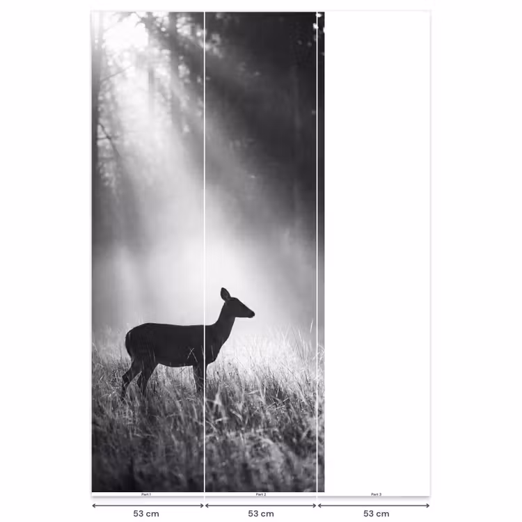 Behang - Hert - Bos - Zonnestralen - Zwart-wit - Natuur — 6