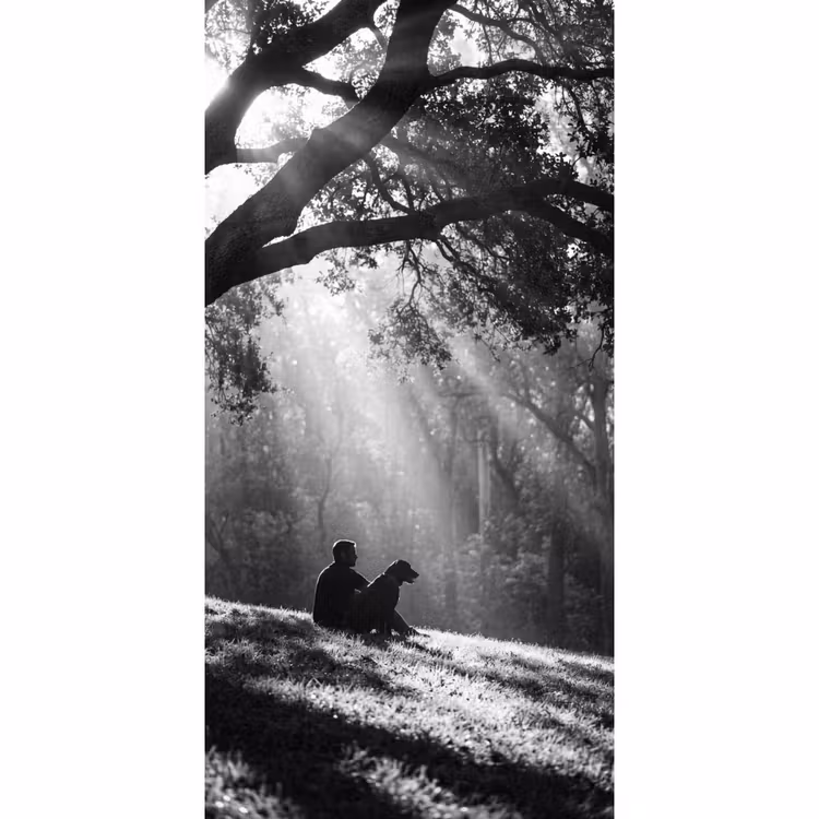Behang - Mens - Hond - Natuur - Zwart-wit - Silhouet — 2