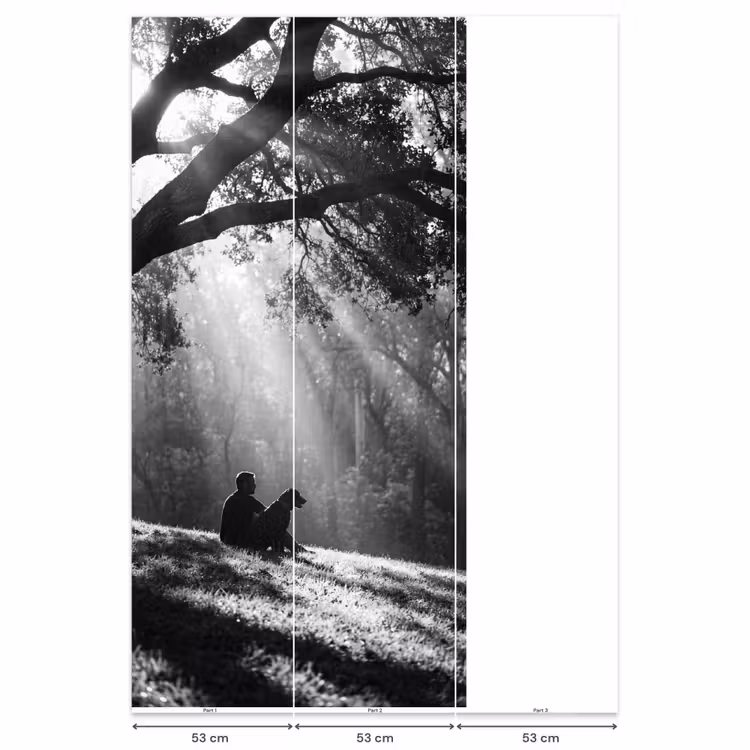 Behang - Mens - Hond - Natuur - Zwart-wit - Silhouet — 6