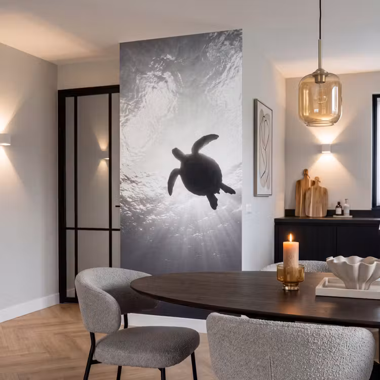 Behang - Schildpad - Onderwater - Lichtstralen - Oceaan - Zwart-wit — 5