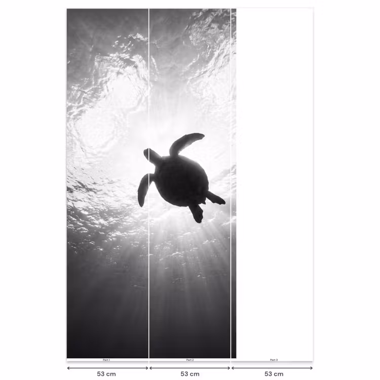 Behang - Schildpad - Onderwater - Lichtstralen - Oceaan - Zwart-wit — 6