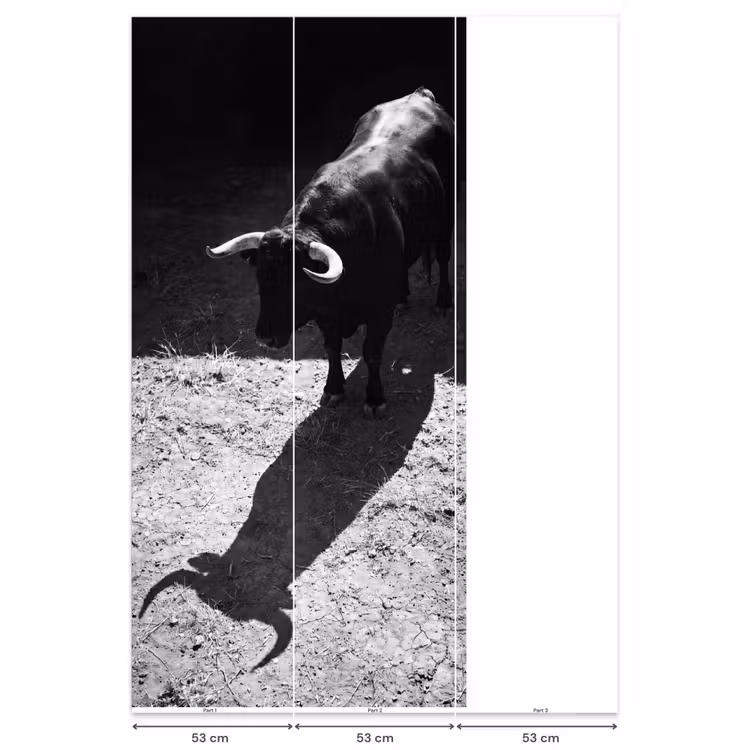 Behang - Stier - Schaduw - Dieren - Contrast - Zwart-wit — 6