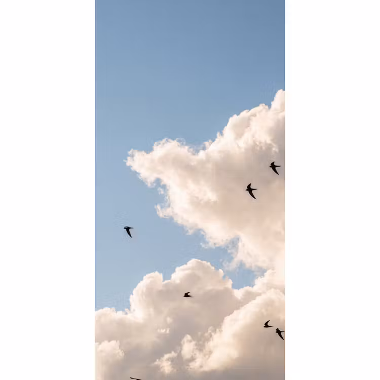 Behang - Vogel - Vlucht - Wolken - Natuur - Blauw — 2