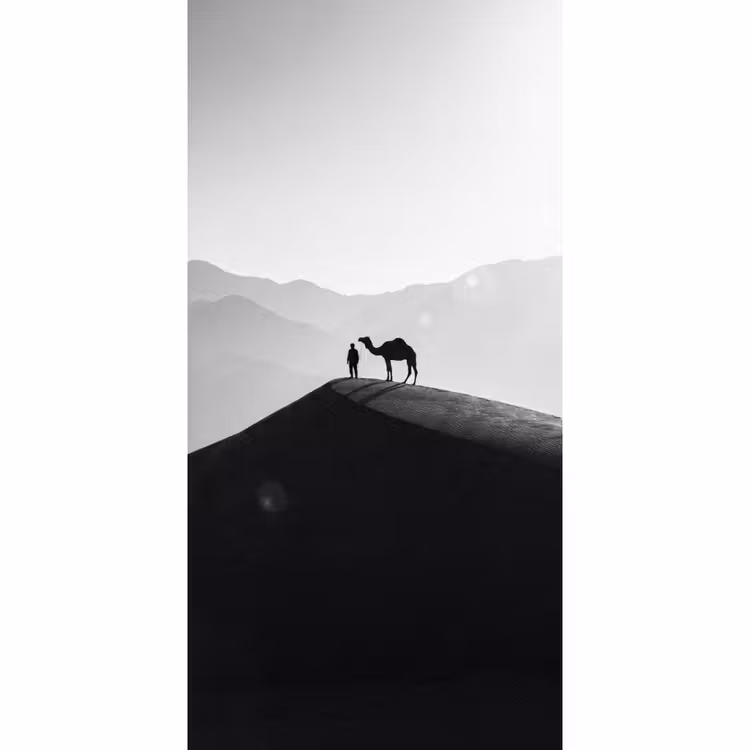 Behang - Mens - Kameel - Zandduin - Natuur - Monochroom — 2