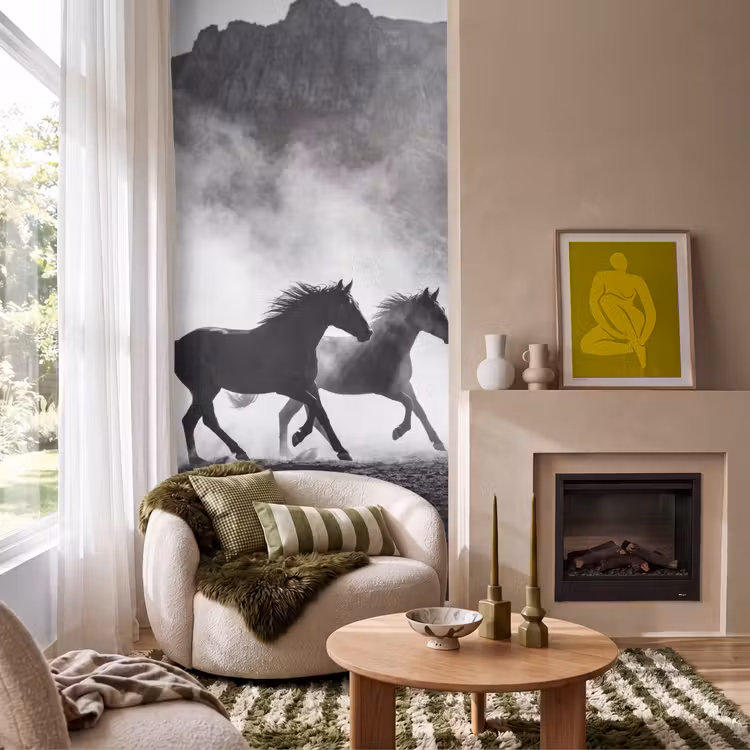 Behang - Paard - Ren - Stof - Zwart-wit - Dieren — 1