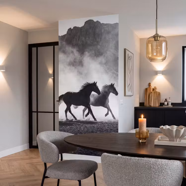 Behang - Paard - Ren - Stof - Zwart-wit - Dieren — 5
