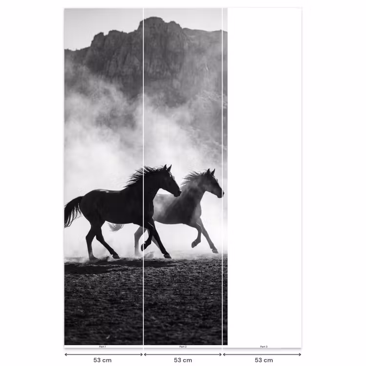 Behang - Paard - Ren - Stof - Zwart-wit - Dieren — 6