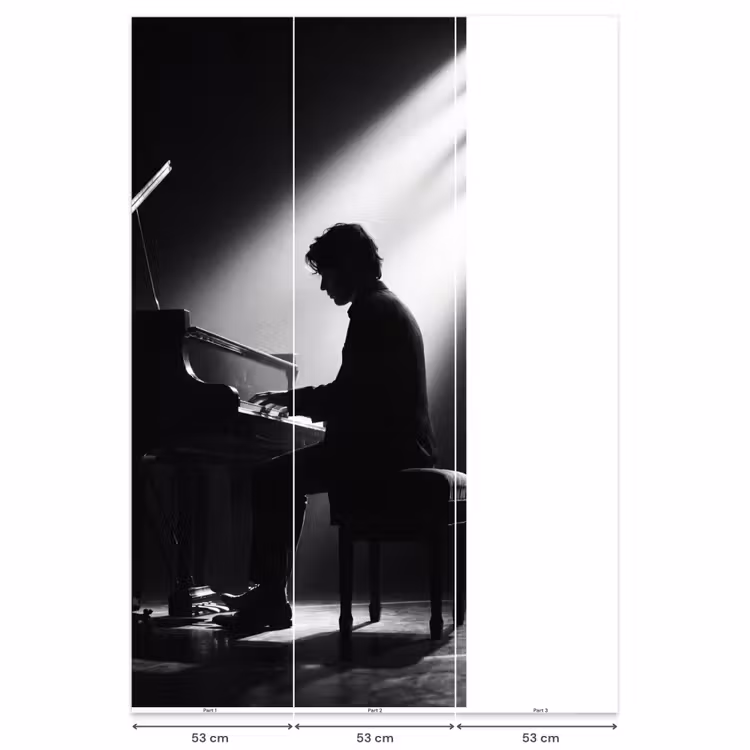 Behang - Persoon - Piano - Muziek - Zwart-wit - Podium — 6