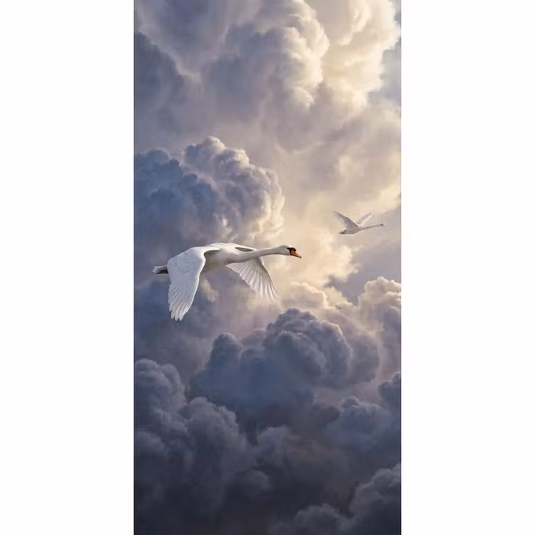 Behang - Vogel - Vliegend - Natuur - Wit - Wolken — 2