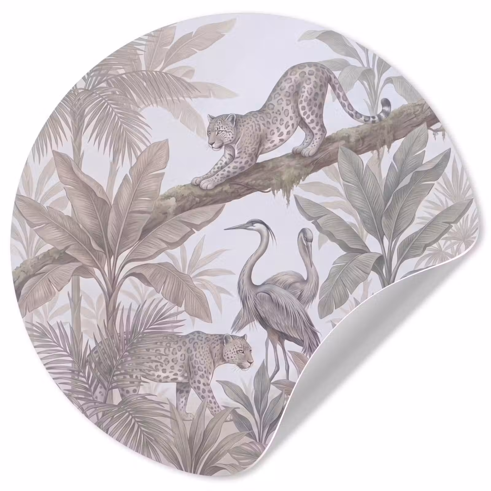 Behangcirkel - Kat - Vogel - Jungle - Illustratie - Dieren — 1