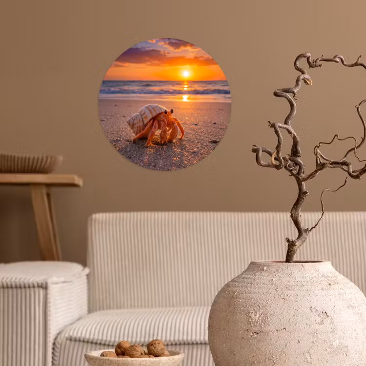 Behangcirkel - Kreeft - Strand - Natuur - Zonsondergang - Oranje — 2