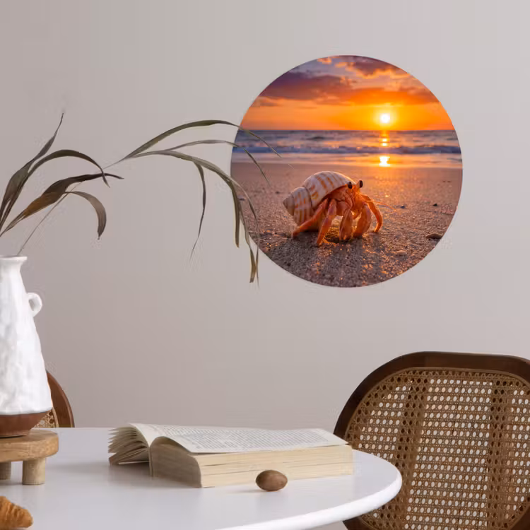 Behangcirkel - Kreeft - Strand - Natuur - Zonsondergang - Oranje — 4