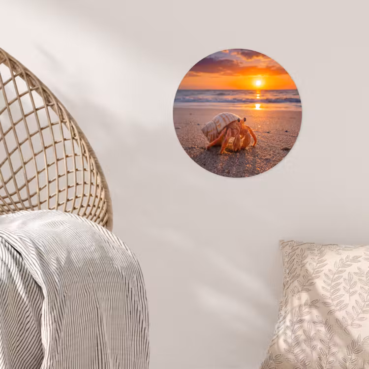 Behangcirkel - Kreeft - Strand - Natuur - Zonsondergang - Oranje — 5