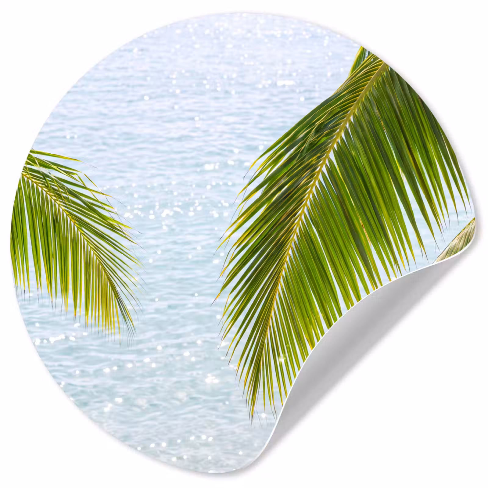 Behangcirkel - Boom - Bladeren - Water - Tropisch - Groen — 1