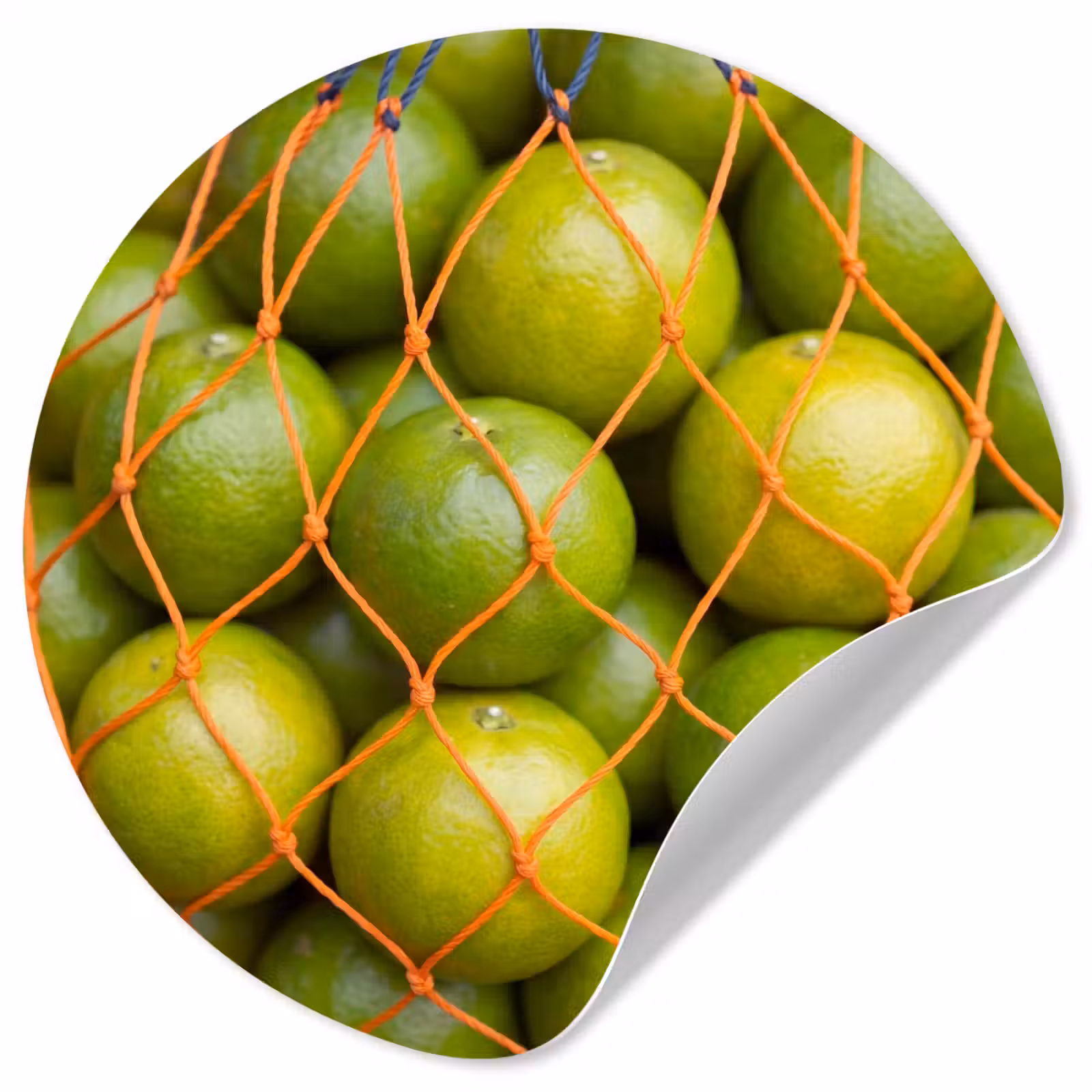 Behangcirkel - Eten - Net - Groen - Markt — 1