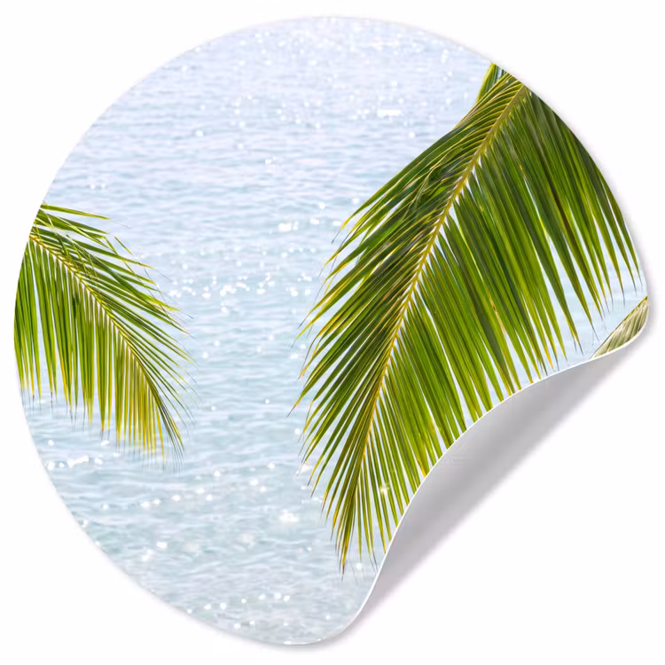 Behangcirkel - Boom - Bladeren - Water - Tropisch - Groen — 1